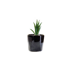 Artificial Mini Succulent Plants with Black ceramic pot