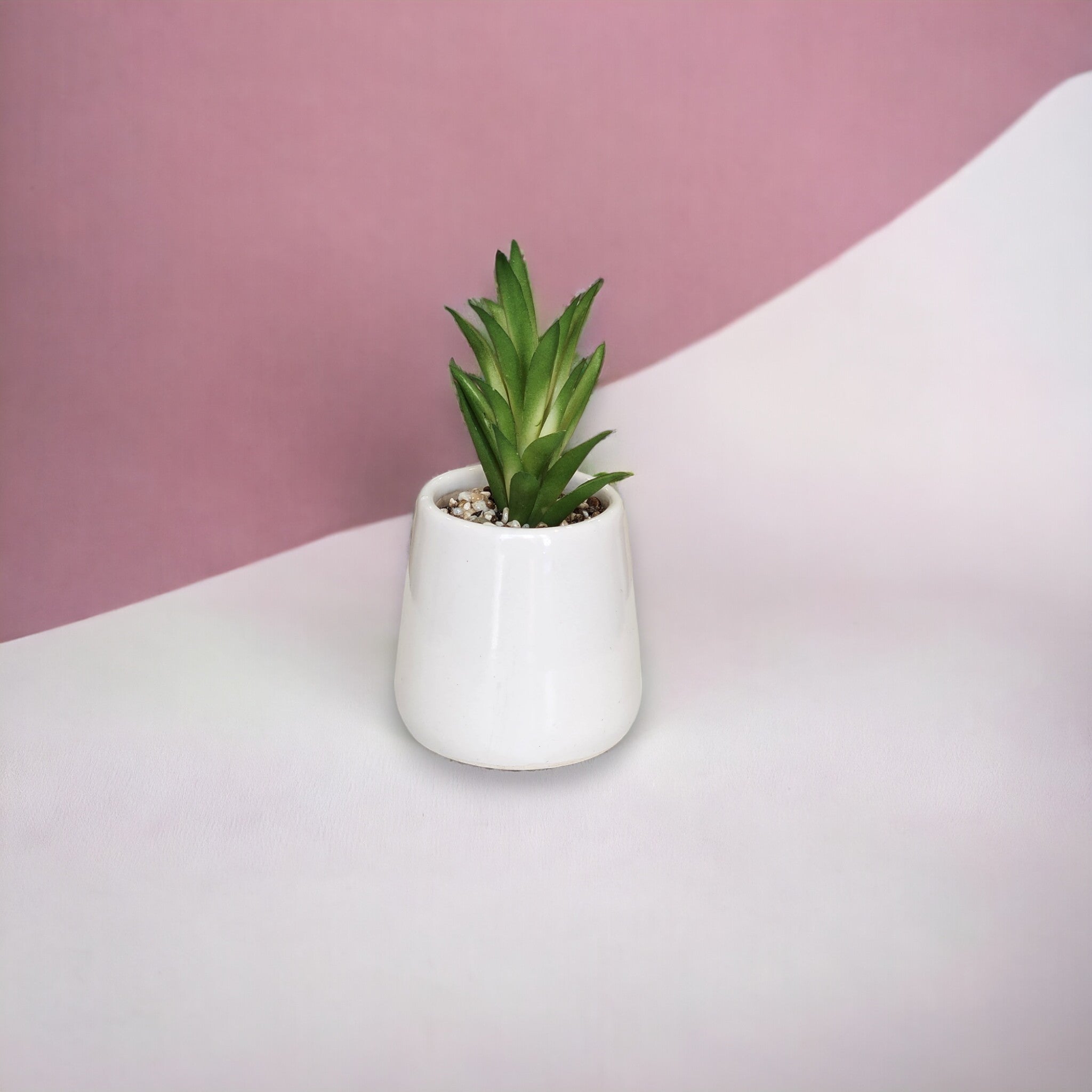 Artificial Mini Succulent plants with white ceramic pot