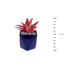 Artificial Mini Succulent Plants with Blue ceramic pot