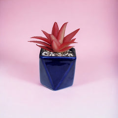 Artificial Mini Succulent Plants with Blue ceramic pot