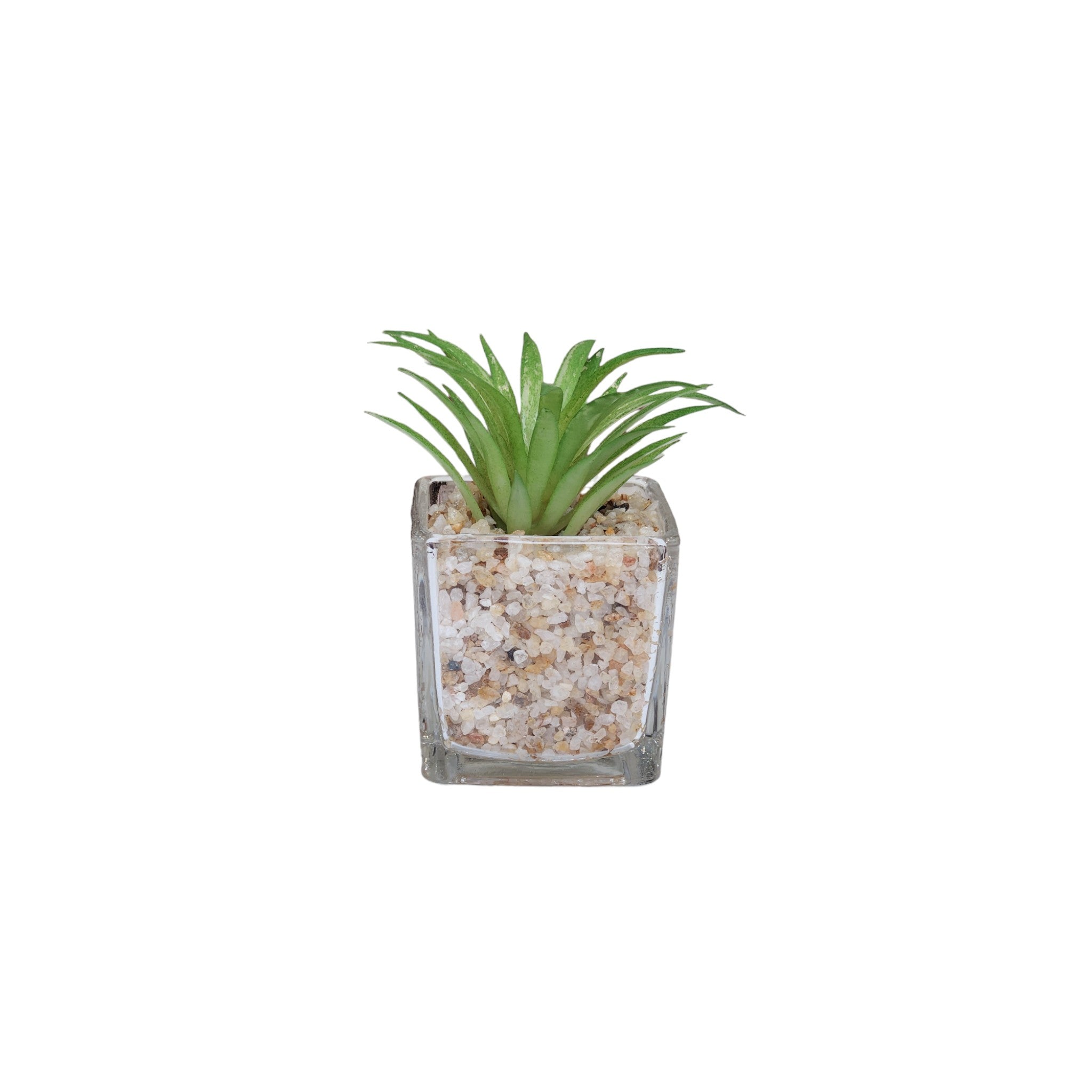 Artificial Mini Succulent Plants with glass pot