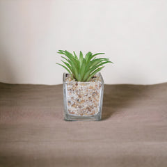 Artificial Mini Succulent Plants with glass pot