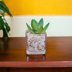 Artificial Mini Succulent Plants with glass pot