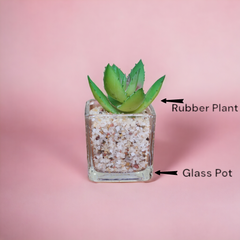 Artificial Mini Succulent Plants with glass pot