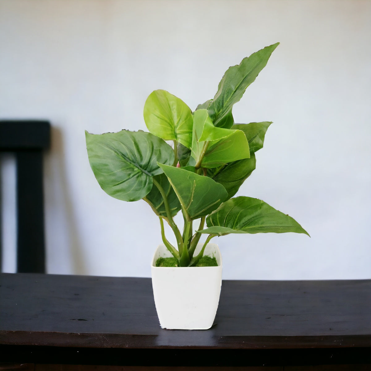 Artificial Money plant with Beautiful white pot