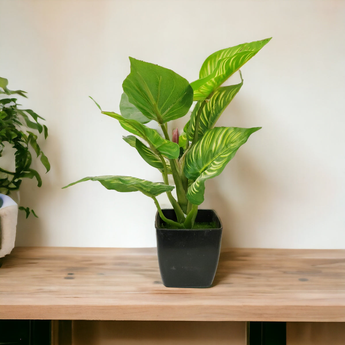 Natural Looking Money Plant Bonsai Artificial Plant with Black Pot