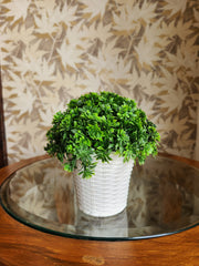 Artificial Plant with white bucket pot