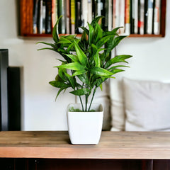 Artificial Beautiful Bamboo Plant with white pot