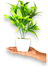 Artificial Beautiful Bamboo Plant with white pot