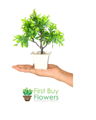 Artificial Mini Bonsai tree ( Lemon ) with Pot