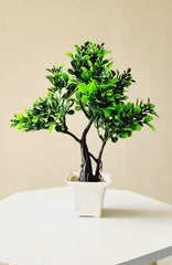 Artificial Mini Bonsai tree ( Green ) with Pot