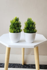 Artificial Small Pine Plants for Home Decor Bathroom Office Set of 2