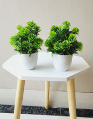 Artificial Small Green Bush Plants for Home Decor Bathroom Office Set of 2