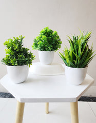 Artificial green forest bonsai Plant with Plastic Pot Set of  3