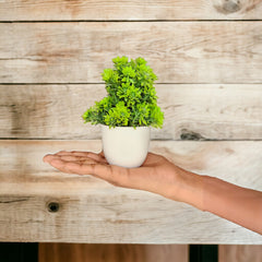 Artificial green forest bonsai Plant with Plastic Pot Set of  3