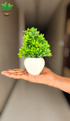 Artificial Mini Bonsai Plant with Plastic Pot for Home Office Table Greenery Room  Plants (Set of 2)