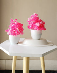 Artificial Small Pink Plants for Home Decor Bathroom Office Set of 2