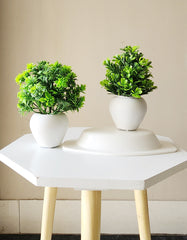 Artificial Mini Bonsai Plant with Plastic Pot for Home Office Table Greenery Room Home Decor Plants (Set of 2)