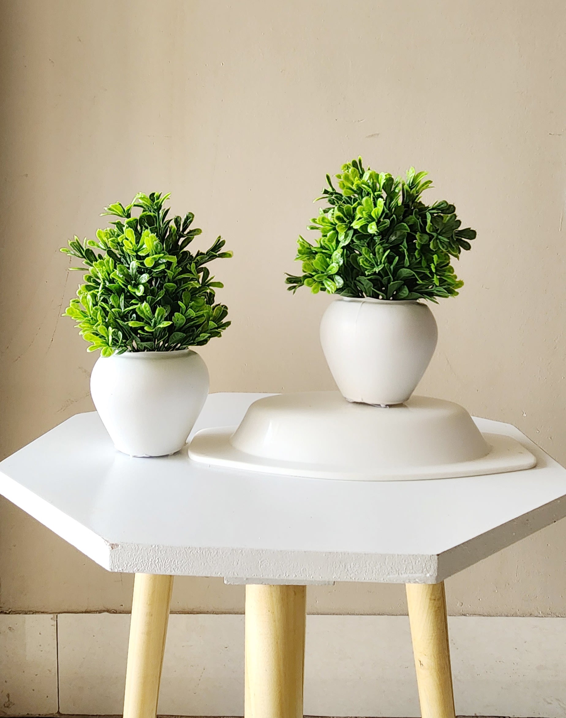 Artificial Mini Bonsai Plant with Plastic Pot for Home Office Table Greenery Room Home Decor Plants (Set of 2)