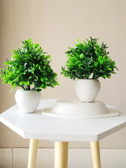 Artificial Mini Bonsai Plant with Plastic Pot for Home Office Table Greenery Room Home Decor Plants (Set of 2)