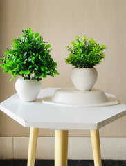 Artificial Mini Bonsai Plant with Plastic Pot for Home Office Table Greenery Room Home Decor Plants (Set of 2)