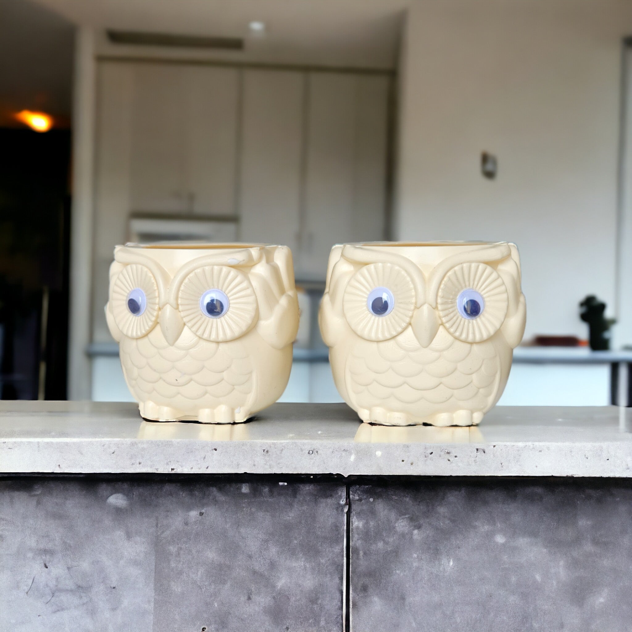 2 Pc Plastic Owl shape pot for indoor and outdoor plants