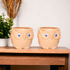 2 Pc Plastic Owl shape pot for indoor and outdoor plants