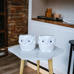 2 Pc Plastic Owl shape pot for indoor and outdoor plants