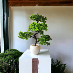 Artificial Big Bonsai plant with apple shape white pot