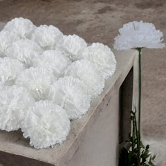 Silk Carnation Flower, 50 Artificial Flowers, Used for Wedding Decoration , Temple  ( White )