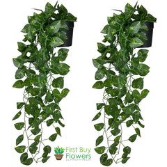 Artificial Plant Greenery Vine Creeper for  Home Decor Door Wall Balcony Decoration Party  (2 Pcs Money Plants)