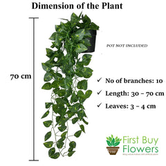 Artificial Plant Greenery Vine Creeper for  Home Decor Door Wall Balcony Decoration Party  (2 Pcs Money Plants)