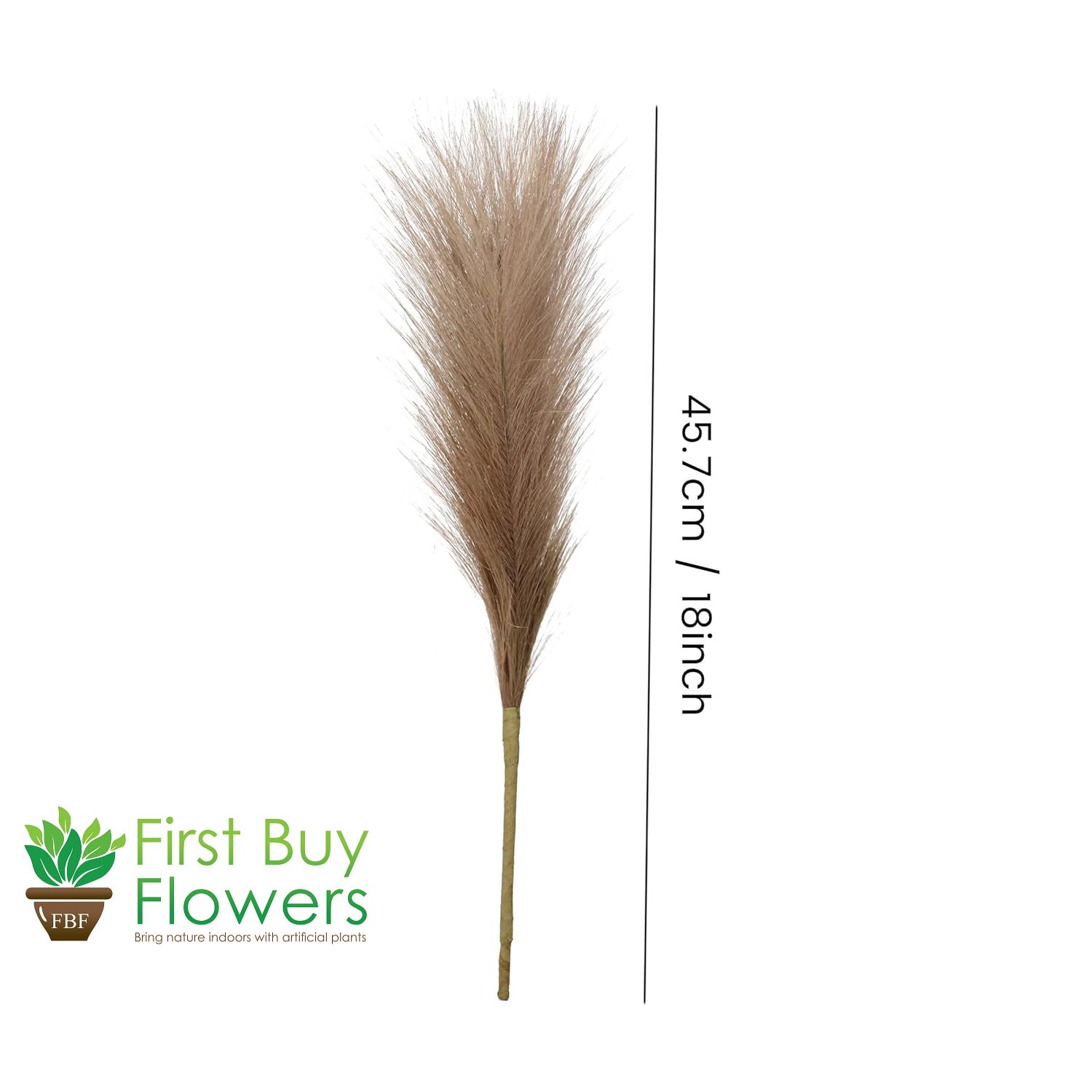 Artificial Pampas Grass  Flower (Brown, 45.7 cm) for Decoration Set of 2