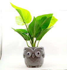 Artificial Natural Looking Green Plant in Owl Shaped Beautiful Pot