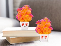 Mini colorful plant with cute faced small pot