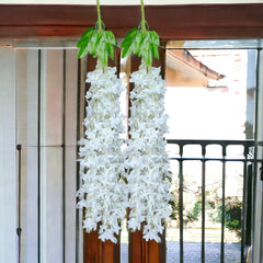 Artificial  white star flower Vine for Home , Balcony decoration set of 2