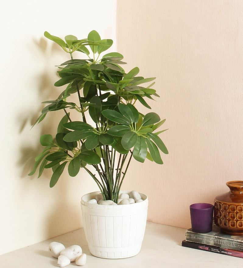 Artificial Schefflera Dwarf Umbrella Tree Plant For Home ( Without vase )