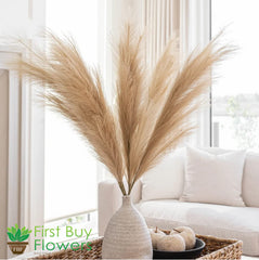 Artificial Pampas Grass  Flower (Brown, 45.7 cm) for Decoration Set of 2