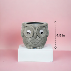 Owl shape plastic planter set of 2