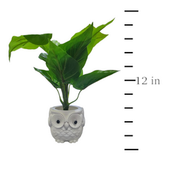 Natural Looking Artificial Plant with White Owl Shaped  Pot